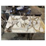 Antlers, Parts,