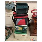 Small Ice Chest