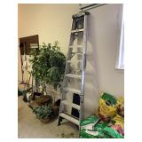 Aluminum Ladder 8