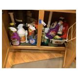 Chemicals Under Sink
