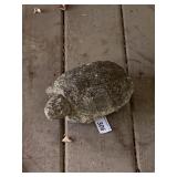 Concrete Turtle Lawn Decor (some damage)