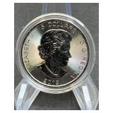 2019 Canadian $5 Silver Coin 1oz (stock pic)