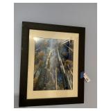 (5) Wall Decor Pics in Hallway