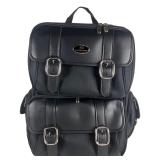 Saddlemen Expandable Sissy Bar Bike Travel Bag New