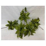 Lime Green Poinsettias