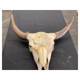 Molded Carved Plaster Bison Skull with Horns