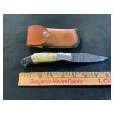 Damascus Steel Folding Knife with Resin Handle