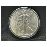 2019 American Silver Eagle Coin
