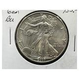 2007-W American Silver Eagle Coin