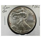 2004-W American Silver Eagle Coin