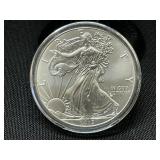 2013 American Silver Eagle Coin