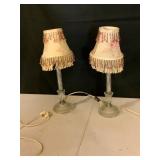 Glass Lamps with Floral Shades