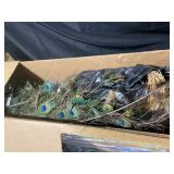 Peacock Feathers and Dried Botanicals