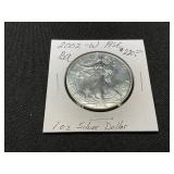 2002-W American Silver Eagle Coin