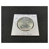 2001-W American Silver Eagle Coin