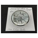 2004-W American Silver Eagle Coin
