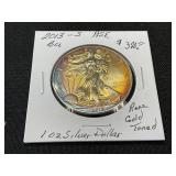 2013 American Silver Eagle Coin