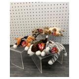 5 Ty Beanie Babies Plush Toys