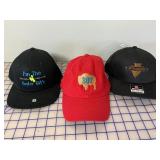 3 NEW Youth Designer Ball Caps, Adjustable