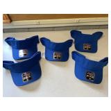 New Blue Visors