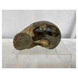 Polished Possible Ammonite Mystery Fossil