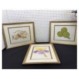 3 Framed Botanical Prints