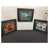 Three Framed Nature Photographs