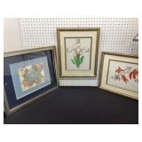 Framed Botanical and Abstract Prints