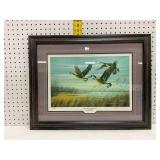 Framed Print 