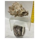 Lettuce Coral and Zebra Calcite Specimens