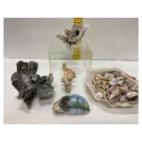 Seashells and Coral Display Collection
