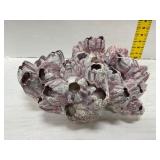 Preserved Ocean Barnacle Cluster