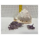 Horned Helmet Shell with Purple Coral