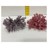 Purple and Pink Coral Specimens