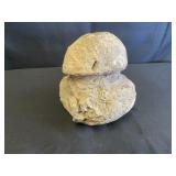 Native American Hammer Stone