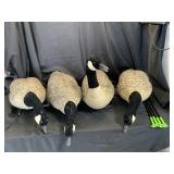 Avian Decoys