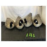 Avian Decoys