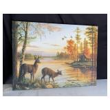 Deer Canvas Picture
