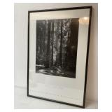 Ansel Adams Framed Print