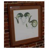 Signed and number Alaskian Ram Print by Dianne
