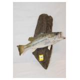 15' Mounted Large Mouth Bass