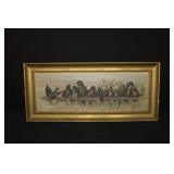 Reproduction of 1893 'Our Feathered Birds' by