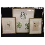 3pcs Vintage Botanical Framed Prints