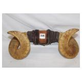 13' Red Horn Mount