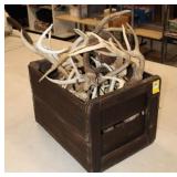 Antique Crate w/ horns