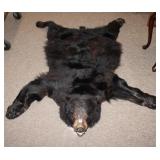 Black Bear Hide w/ head & claws 5' from nose to