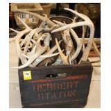 Antique Crate w/ European mounts & horns