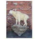 Mountain Goat on mount approx 68' tall x 56'x18'