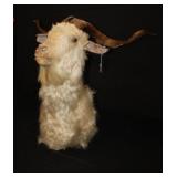 Catalina Goat Shoulder Mount w/ 35' horn spread
