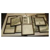 12 Vintage Pen and Ink Drawinls